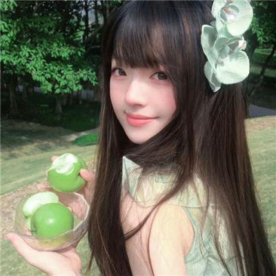 从前有个傻子特工