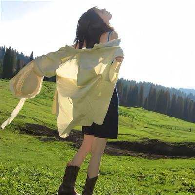 高速公路家族